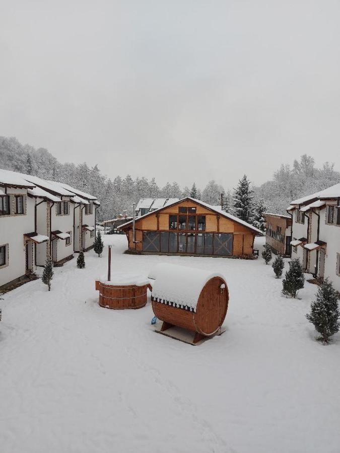 Hotel Domeniul Roa Avrig Exterior foto