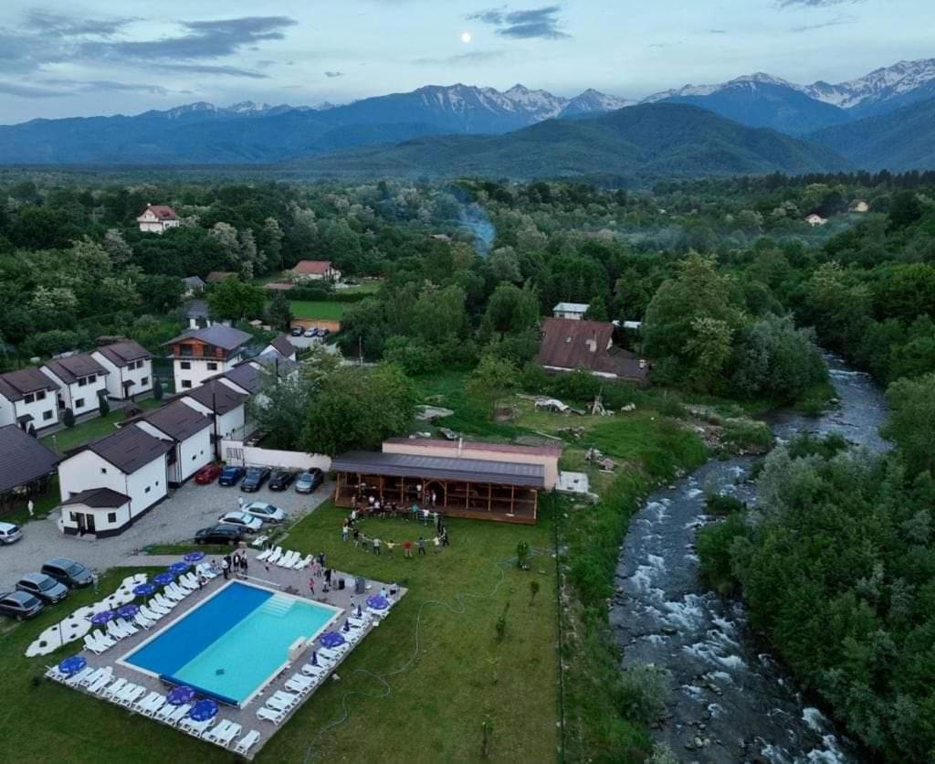 Hotel Domeniul Roa Avrig Exterior foto